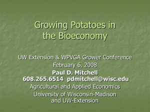 Growing Potatoes in the New BioEconomy (PowerPoint Feb 2008)