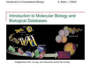Introduction to Molecular Biology and Biological Databases – CS444 A. Shehu