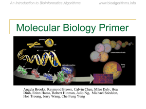 Chapter 3: Molecular Biology Primer