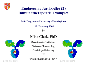 MClark_Engineering_Antibodies_2