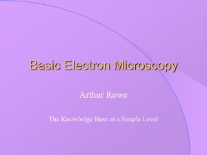 D24BT8_Basic Electron Microscopy 1.ppt