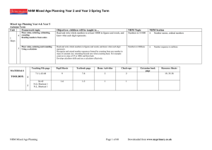 NHM Mixed Age Plannng Year 4 and 5 Autumn Term (DOC, 1.03 MB)