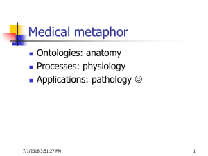 Medical metaphor Ontologies: anatomy Processes: physiology Applications: pathology 