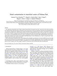 metal contamination in interstitial waters of donana park.doc