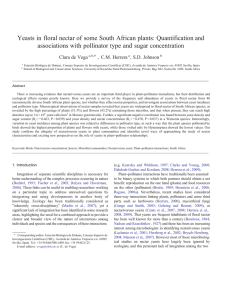 devega.et.al.2009.sajb.doc