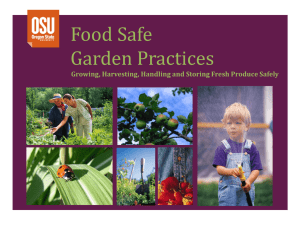 Food Safe Garden Practices-