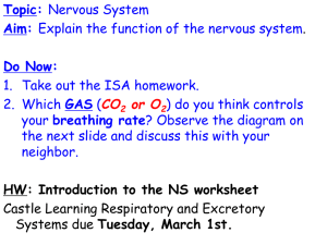 Introduction to the NS