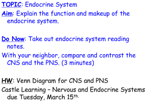 TOPIC Aim Do Now endocrine system.