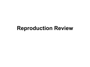 Reproduction Review