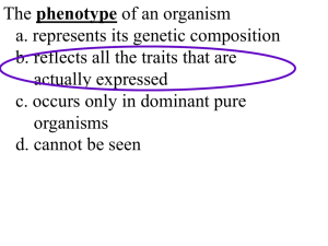 Genetics Review