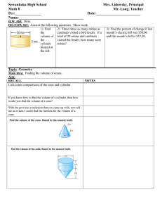 Math 8 Lesson Plan 65 Finding the Volume of Cones class outline for students.doc