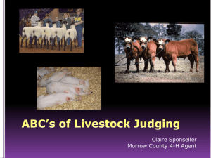 ABC's of Livestock Judging