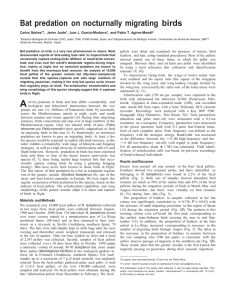 2001 n lasiopterus diet pnas.doc