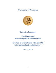 ACE exec summary Final Report 2011-2013