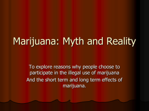 Marijuana Myths and Realities