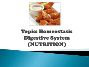 Homeostasis - NUTRITION