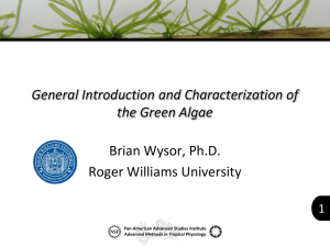08 General Introduction Characterization GreenAlgae BrianWysor