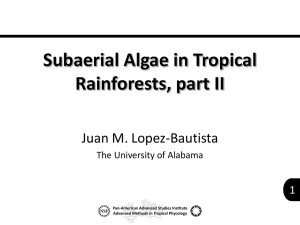 13 Subaerial Algae Tropical Rainforests PartII