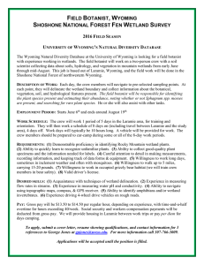 2016 Shoshone NF Fen Wetland Field Botanist