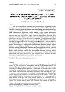 Hal 79-86. Estrogen-Isi