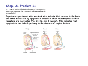 Chap. 21 Problem 11