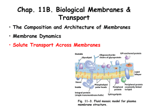 Chapter 11B Lecture