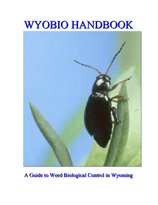WYOBIO HANDBOOK: A Guide to Weed Biological Control in Wyoming
