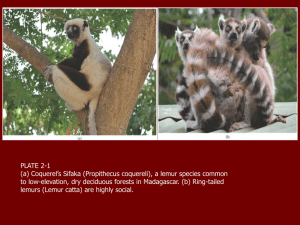 Slides: Chapter 2: Biogeography and Evolution in the Tropics