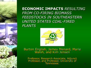 Economic Impacts Resulting From Co-Firing Biomass Feedstocks in Southeastern U.S. Coal-Fired Plants