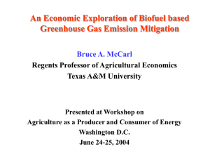 Greenhouse Gas Markets as an Economic Driver for Increased Biofuel Production: An Examination of Critical Factors