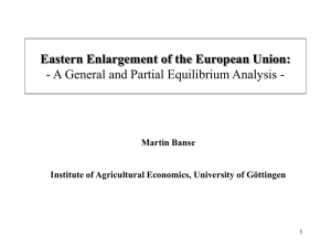 Eastern Enlargement of the European Union—a General and Partial Equilibrium Analysis