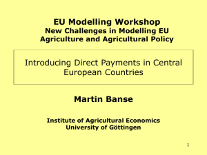 Introducing Direct Payments in Central European Economies