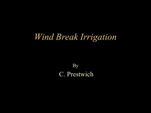 Wind Break Irrigation C. Prestwich By