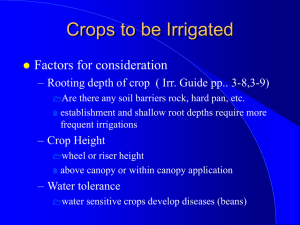 Irrigation Water Requirements