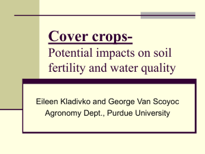 Cover Crops - Potential impacts on soil fertility and water quality