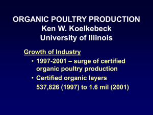 Organic Poultry Production - Husbandry