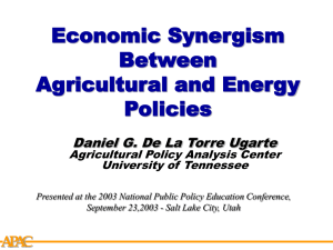 Economic Synergism Between Agricultural and Energy Policies