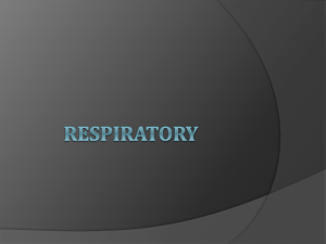 Respiratory 