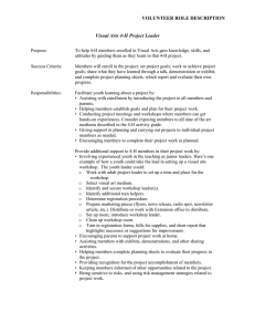 Visual Arts Project Leader Role Description