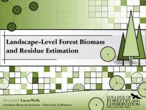 Landscape-Level Forest Biomass and Residue Estimation Presenter Lucas Wells