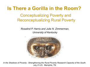 Is There a Gorilla in the Room? Conceptualizing Poverty and Reconceptualizing Rural Poverty