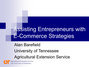 Assisting Entrepreneurs with E-Commerce Strategies