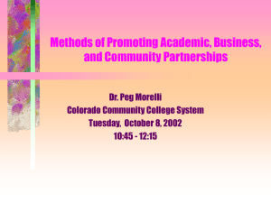 Methods of Promoting Academic, Business and Community Partnerships for Rural Community Colleges