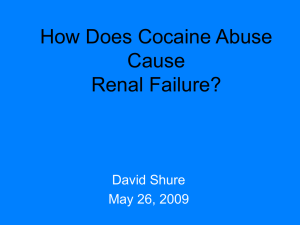 How Does Cocaine Cause Renal Injury?