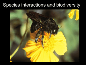 WerrenLab-WolbachiaWorkshops_files/Insect ID Lecture 2006.ppt