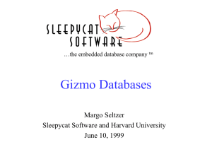 Gizmo Databases Margo Seltzer Sleepycat Software and Harvard University June 10, 1999