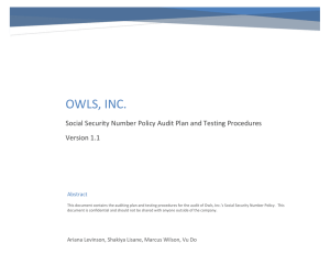 Owls Inc. Audit Plan