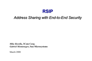 RSIP Address Sharing with End-to-End Security Mike Borella Gabriel Montenegro