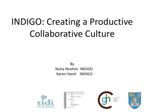 View the presentation delivered by Nuha Ibrahim and Karen Hand, International Doctorate in Global Health (INDIGO), TCD