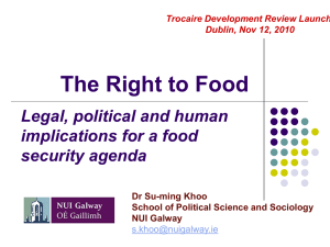 View the presentation delivered by Dr. Su-ming Khoo, School of Political Science and Sociology, NUI Galway